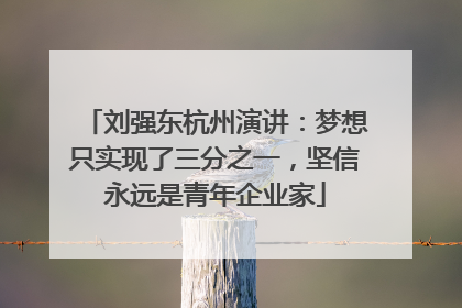 刘强东杭州演讲：梦想只实现了三分之一，坚信永远是青年企业家