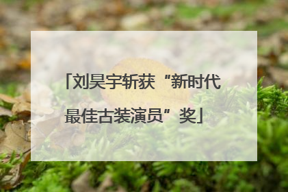 刘昊宇斩获“新时代最佳古装演员”奖