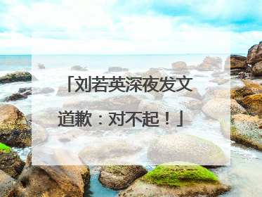 刘若英深夜发文道歉：对不起！