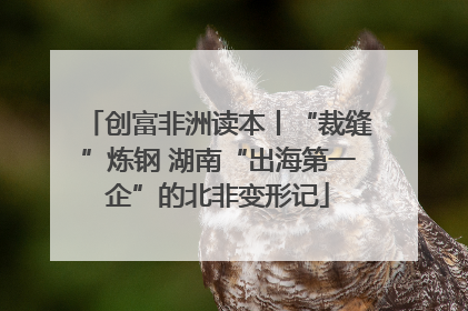 创富非洲读本丨“裁缝”炼钢 湖南“出海第一企”的北非变形记