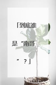到底谁是“南哥”？
