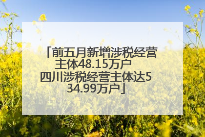 前五月新增涉税经营主体48.15万户 四川涉税经营主体达534.99万户