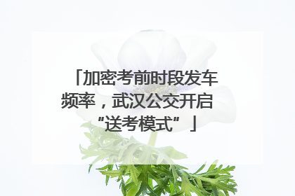 加密考前时段发车频率，武汉公交开启“送考模式”