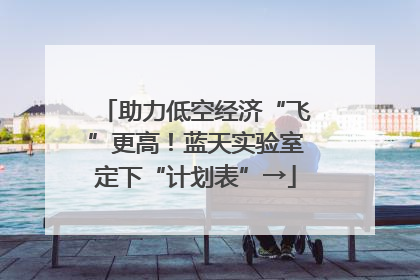 助力低空经济“飞”更高！蓝天实验室定下“计划表”→