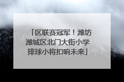 区联赛冠军！潍坊潍城区北门大街小学排球小将扣响未来