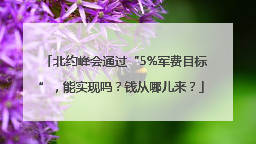北约峰会通过“5%军费目标”，能实现吗？钱从哪儿来？