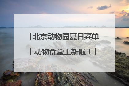 北京动物园夏日菜单丨动物食堂上新啦！