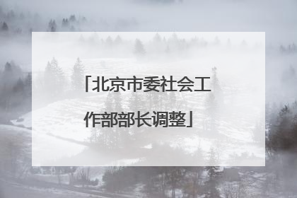 北京市委社会工作部部长调整