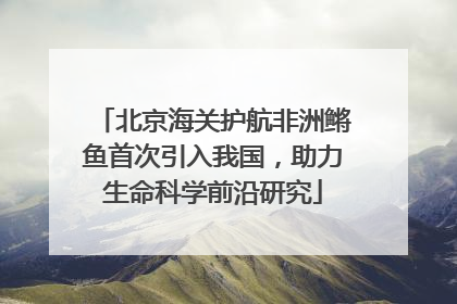 北京海关护航非洲鳉鱼首次引入我国，助力生命科学前沿研究
