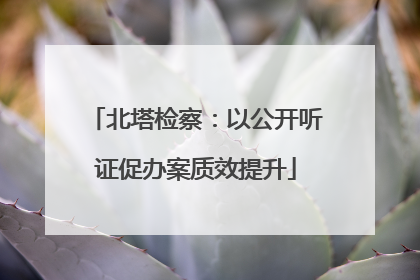 北塔检察：以公开听证促办案质效提升