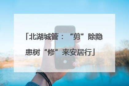 北湖城管：“剪”除隐患树“修”来安居行