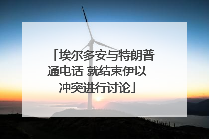 埃尔多安与特朗普通电话 就结束伊以冲突进行讨论