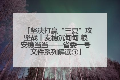 坚决打赢“三夏”攻坚战丨麦穗沉甸甸 粮安稳当当——省委一号文件系列解读①