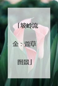 坡岭流金：萱草图景