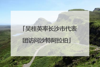 吴桂英率长沙市代表团访问沙特阿拉伯