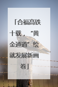 合福高铁十载，“黄金通道”绘就发展新画卷
