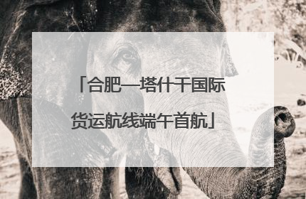 合肥—塔什干国际货运航线端午首航