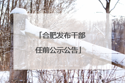 合肥发布干部任前公示公告