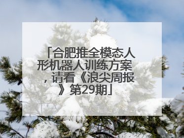 合肥推全模态人形机器人训练方案，请看《浪尖周报》第29期