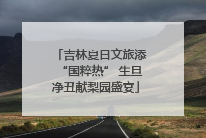 吉林夏日文旅添“国粹热” 生旦净丑献梨园盛宴