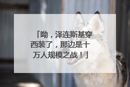 呦，泽连斯基穿西装了，那边是十万人规模之战！