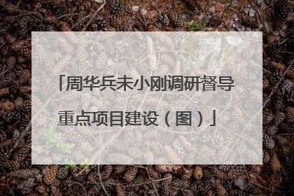 周华兵未小刚调研督导重点项目建设（图）