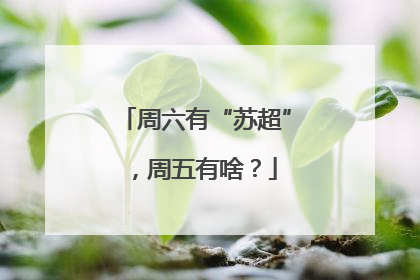 周六有“苏超”，周五有啥？