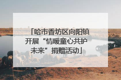哈市香坊区向阳镇开展“情暖童心共护未来”捐赠活动