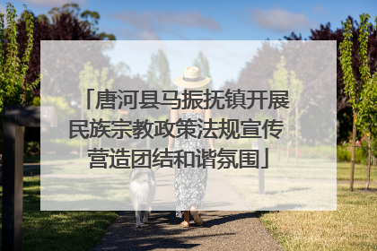 唐河县马振抚镇开展民族宗教政策法规宣传 营造团结和谐氛围