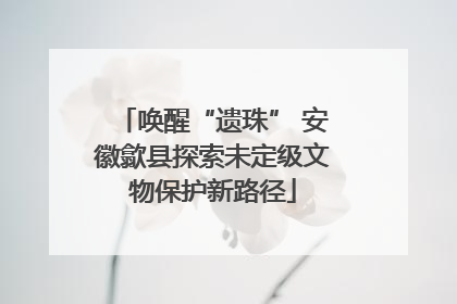 唤醒“遗珠” 安徽歙县探索未定级文物保护新路径