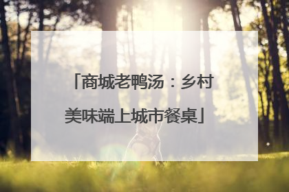商城老鸭汤：乡村美味端上城市餐桌