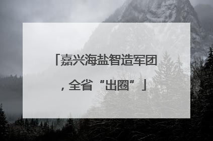 嘉兴海盐智造军团，全省“出圈”