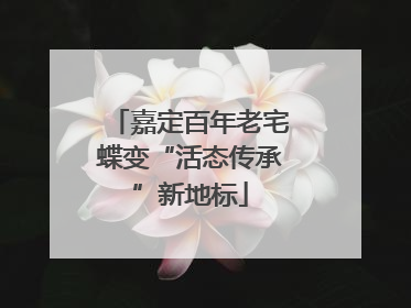 嘉定百年老宅蝶变“活态传承”新地标