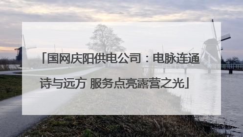 国网庆阳供电公司：电脉连通诗与远方 服务点亮露营之光