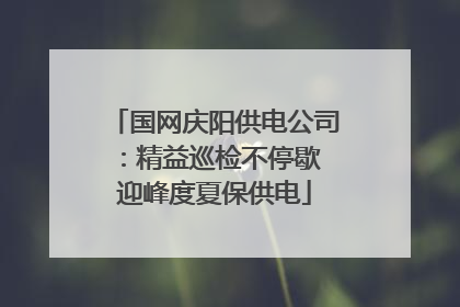 国网庆阳供电公司：精益巡检不停歇 迎峰度夏保供电