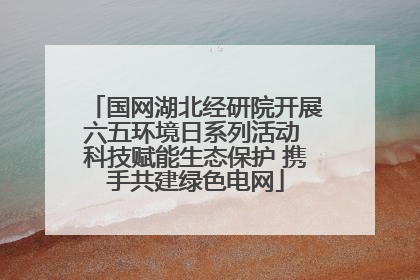 国网湖北经研院开展六五环境日系列活动 科技赋能生态保护 携手共建绿色电网
