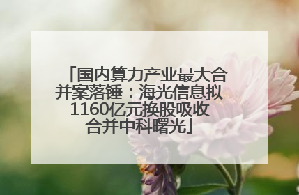 国内算力产业最大合并案落锤：海光信息拟1160亿元换股吸收合并中科曙光