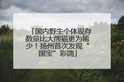 国内野生个体现存数量比大熊猫更为稀少！扬州首次发现“国宝”彩鹮