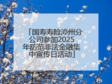 国寿寿险漳州分公司参加2025年防范非法金融集中宣传日活动