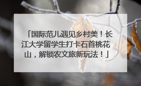 国际范儿遇见乡村美！长江大学留学生打卡石首桃花山，解锁农文旅新玩法！