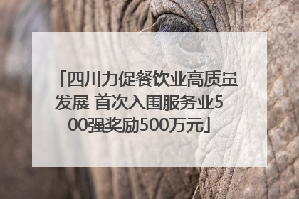 四川力促餐饮业高质量发展 首次入围服务业500强奖励500万元