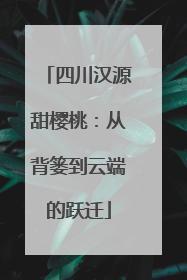 四川汉源甜樱桃：从背篓到云端的跃迁