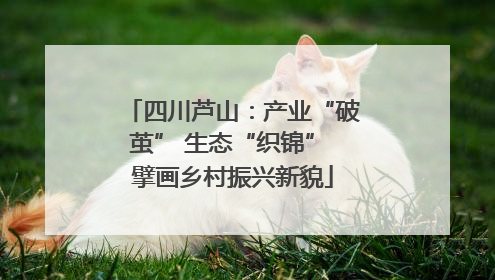四川芦山：产业“破茧” 生态“织锦” 擘画乡村振兴新貌