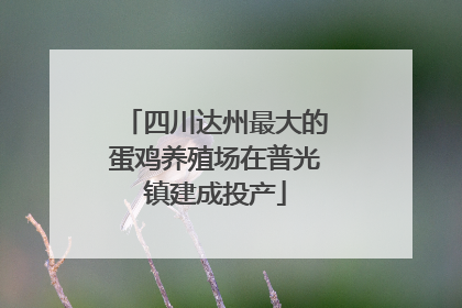 四川达州最大的蛋鸡养殖场在普光镇建成投产