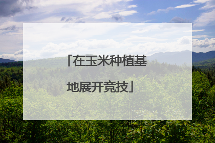 在玉米种植基地展开竞技