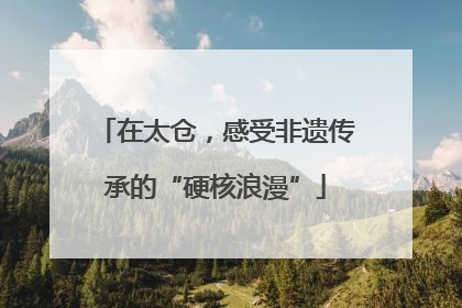 在太仓，感受非遗传承的“硬核浪漫”