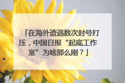 在海外遭遇数次封号打压，中国日报“起底工作室”为啥那么刚？