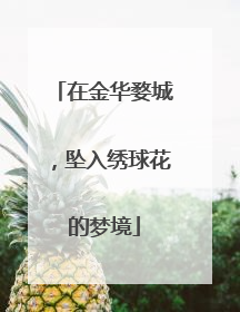在金华婺城，坠入绣球花的梦境