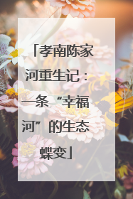 孝南陈家河重生记：一条“幸福河”的生态蝶变