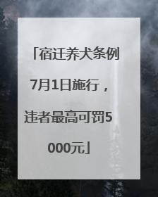 宿迁养犬条例7月1日施行，违者最高可罚5000元